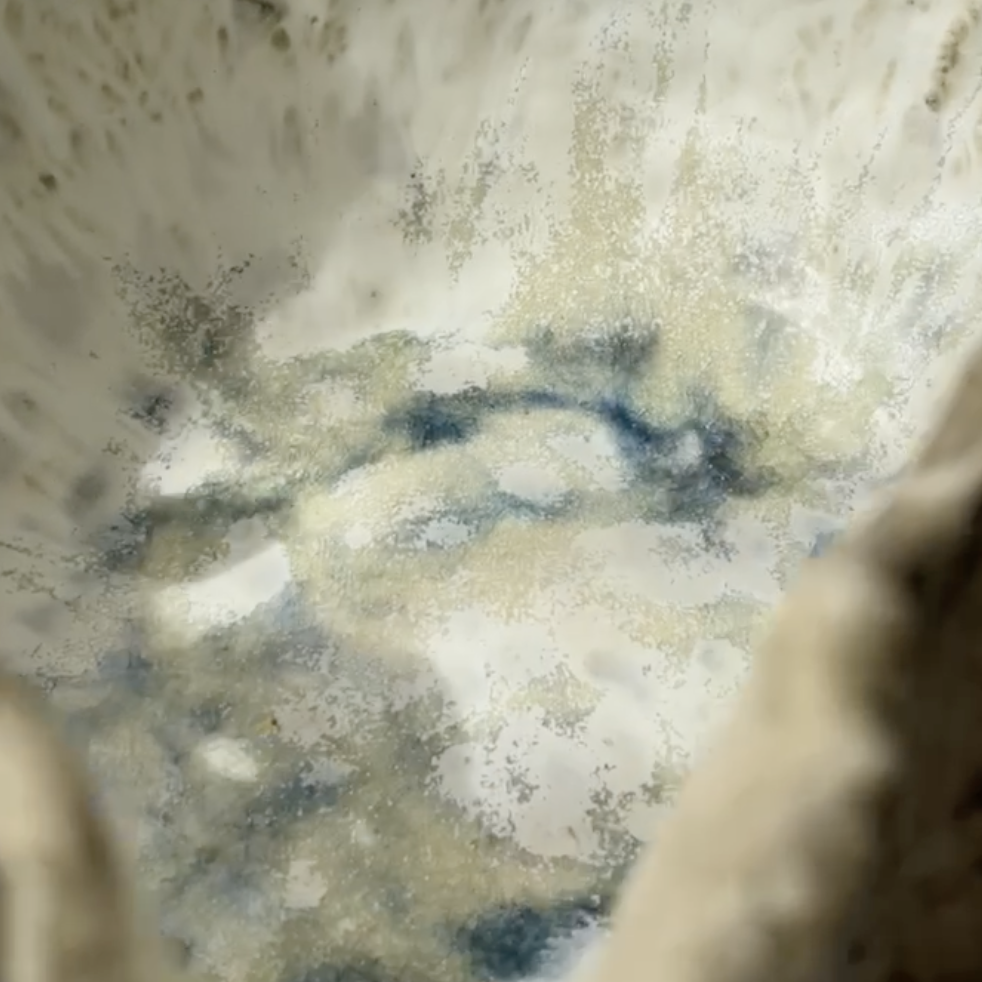 BONE CRACK RAVINE - Giant Water Bowl