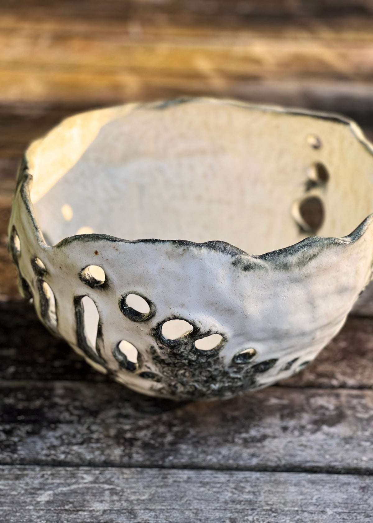Skeleton Coral Bowl