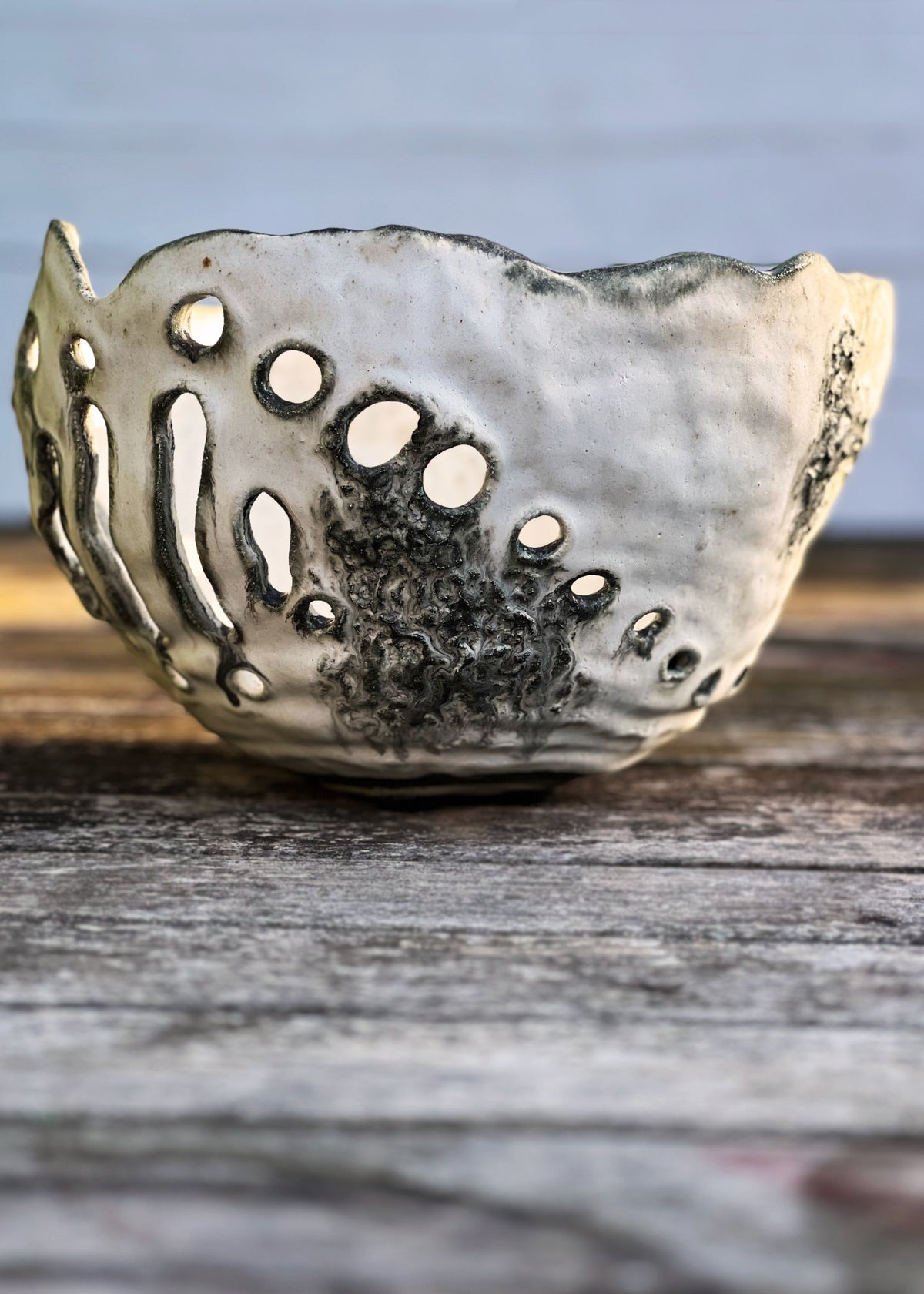 Skeleton Coral Bowl